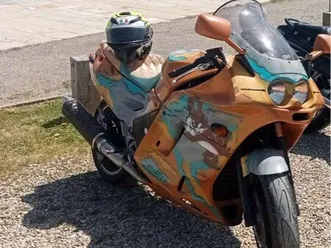 1100-zzr-pour-bricoleur