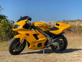 triumph daytona 955i del 2005 da collezione