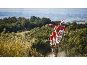 vendo betamotor rr x-pro 300 2t enduro (2025) nuova a arluno (codice 9454025) - moto.it