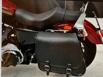 harley davidson 1200 custom ca