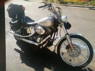 harley-davidson softail custom - 2006