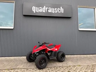 cfmoto cforce 110 kinderquad - alle farben am lager