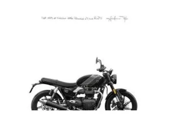 speed twin 900 (2025)