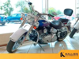 harley-davidson softail