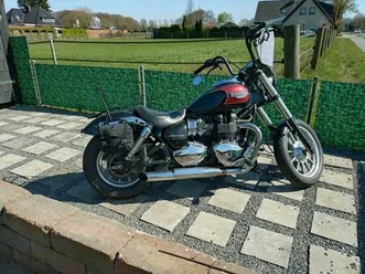 thriumph-america-speedmaster-keine-15000km-mal-anders