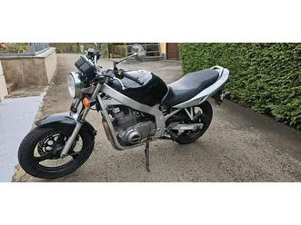 suzuki gs500
