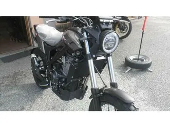 vendo betamotor alp x (2024 - 25) nuova a vezza d'alba (codice 9590981) - moto.it