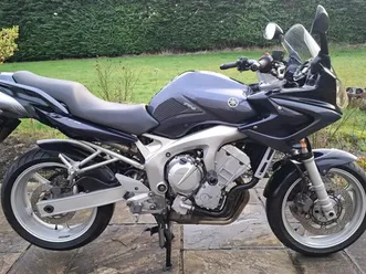 yamaha fz6 2004 fuel injection