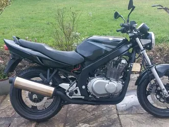 suzuki gs 500 2005