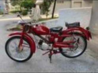 cardellino guzzi
