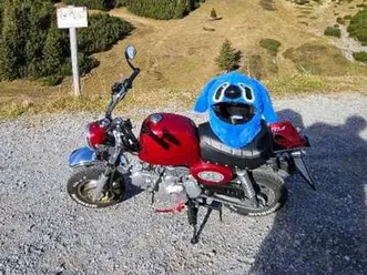 skyteam-gorilla-125-rot