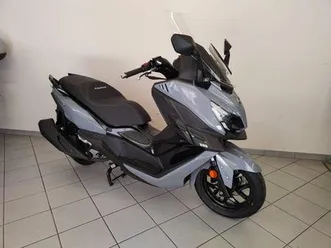 vendo sym cruisym 300 e5+ (2025) nuova a cavour (codice 9491755) - moto.it