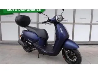 filly 50 (2024 - 26)