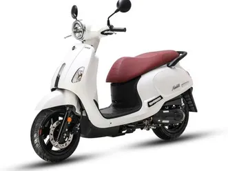 sam fiddle 50i, sale 2025, finanzierung möglich