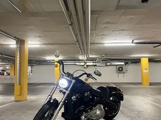 harley-davidson-softail-standard-107