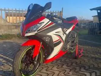 kawasaki-ninja-300-2013