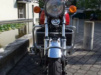 suzuli-gt-750-a-wasserbuffel