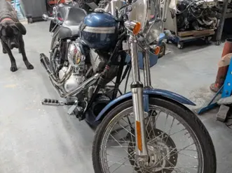 2003-harley-davidson-standard-soft-tail-100-anniversary-edition