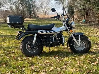 skyteam-t-rex-125-nachbau-der-suzuki-rv-125-mit-460-km