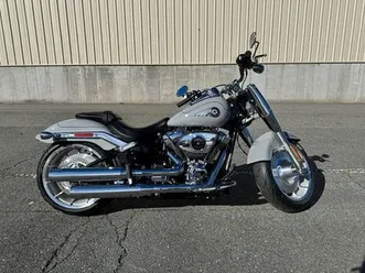 harley-davidson fat boy 117