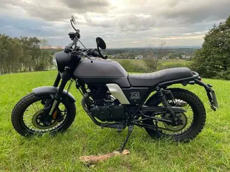 brixton felsberg/glenville 250