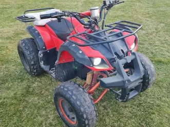 quad-elektryczny-duzy-2-osobowy-1000-w-watt-tluszcz