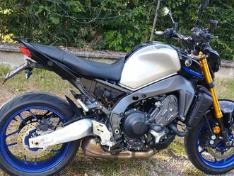 selle-confort-crash-bars-poignee-de-maintien-pas