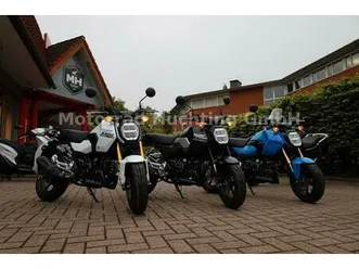honda grom 125 ! msx 125 ! neu 2025 !