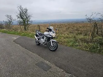 suzuki-bandit-2009-656-cc