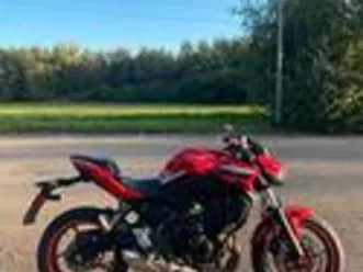 kawasaki z650 50th anniversario