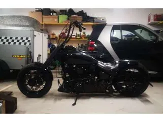 1600-wild-star-custom