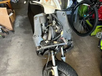 scooter-generic-cracker