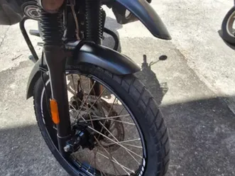 himalayan-en-buen-estado-y-muy-hermosa