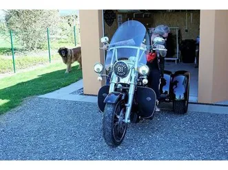 harley-davidson-freewheeler