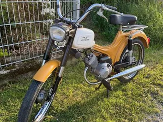 moto-guzzi-dingo-49-cc-restauriert-automatic-ez-1969-moped
