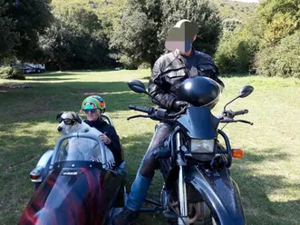 mz-baghira-660-schwenker-kalich-gespann