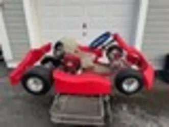 parolin-delfino-puffo