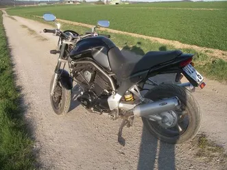 yamaha-belgarda-bulldog