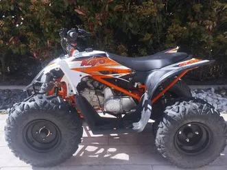 quad-kayo-predator-110-cc