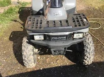 polaris-magnum-330-2x4