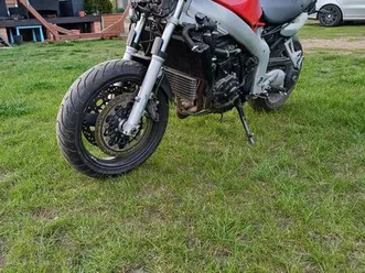 triumph-sprint-955-dominowo