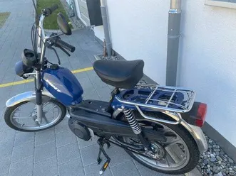 pony-gtx-schweizer-qualitat-jg-2022