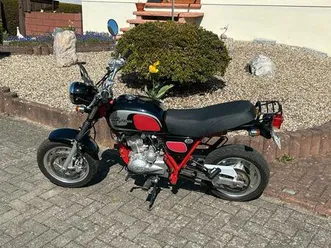 sky-team-cobra-50-sehr-selten