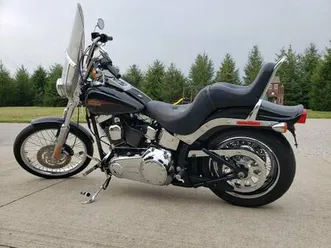 2010-hd-fxstc-softail-custom-low-miles-exc-cond