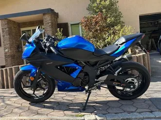 kawasaki-ninja-125-leo-vince-auspuff