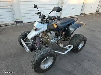 yamaha-200-blaster-homologue