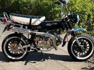 skyteam-skymax-pro-125-ccm-kein-inspektionsstau