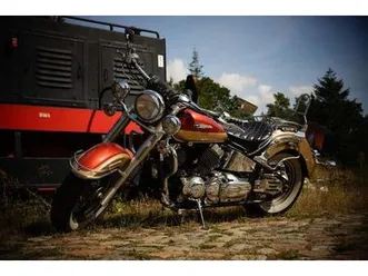 yamaha-xvs-650-dragstar-classic-1998-silvertail-auspuff