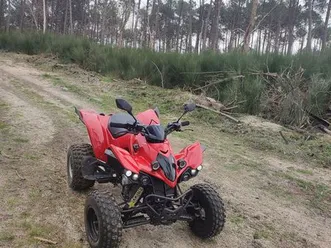 quad-kymco-300-maxxer-homologue
