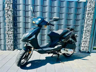 rex-rs-1000-roller-125er-tuv-11-26